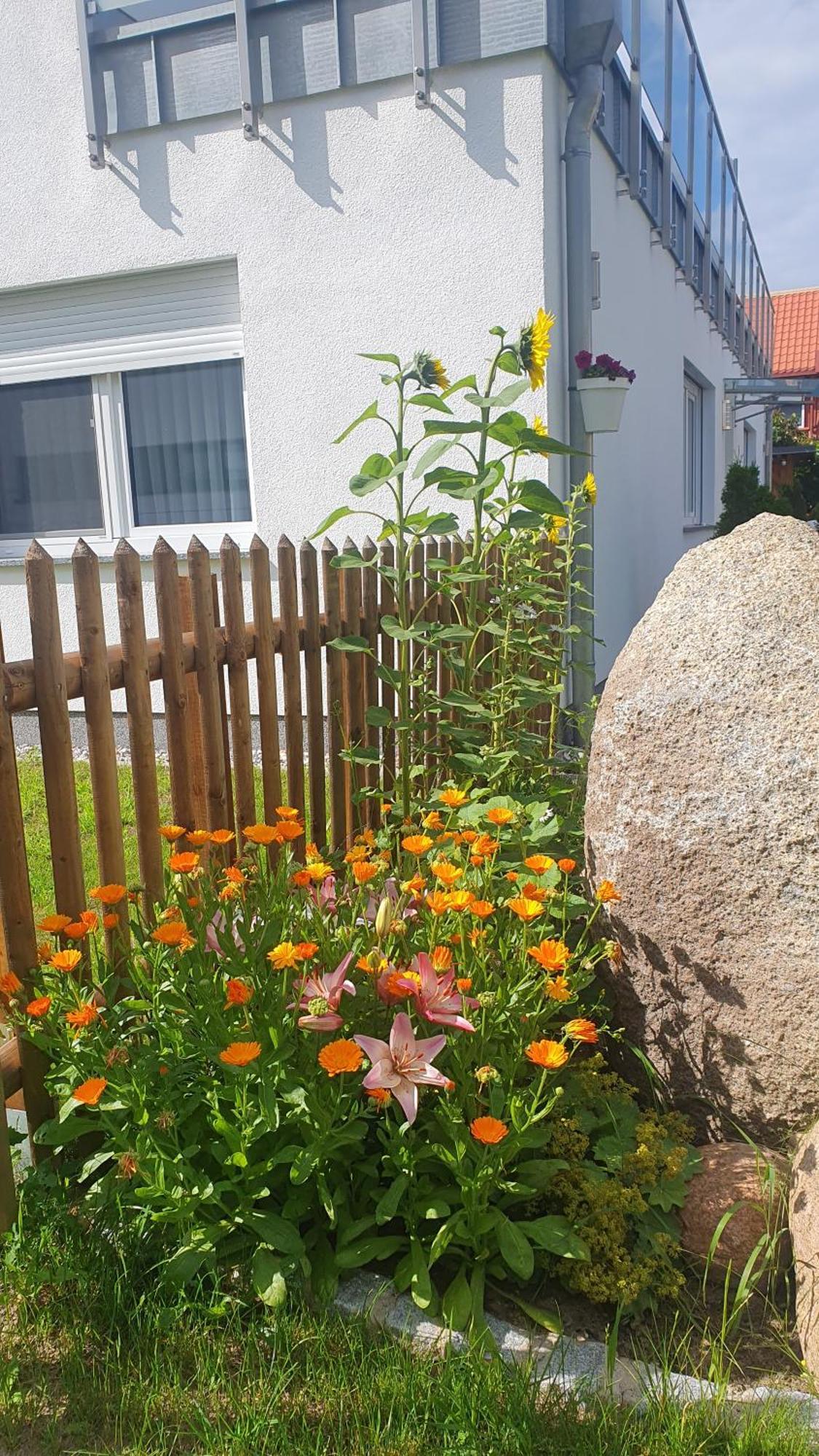 Ferienwohnungen "Godewind", Appartements Mit Balkon Oder Terrasse Zinnowitz Exteriör bild