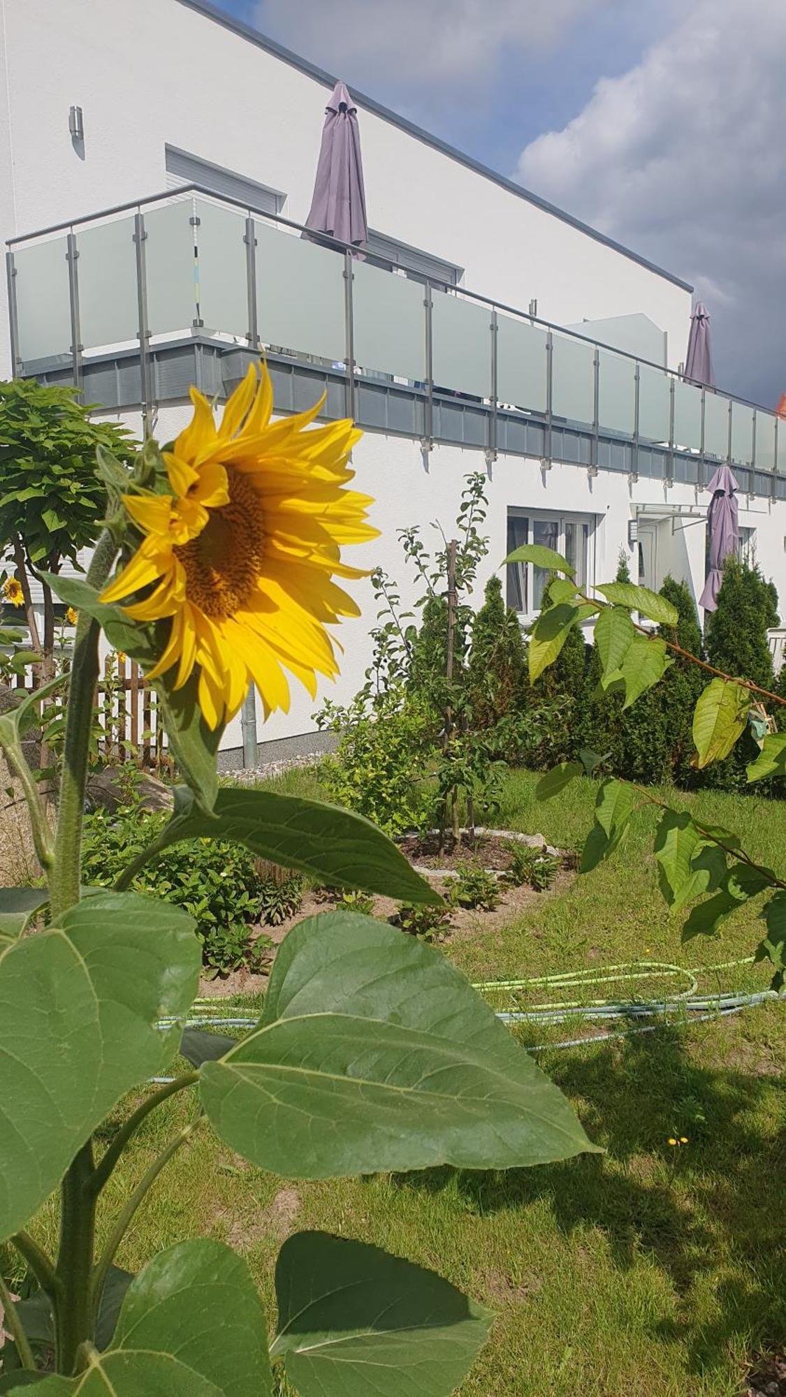 Ferienwohnungen "Godewind", Appartements Mit Balkon Oder Terrasse Zinnowitz Exteriör bild
