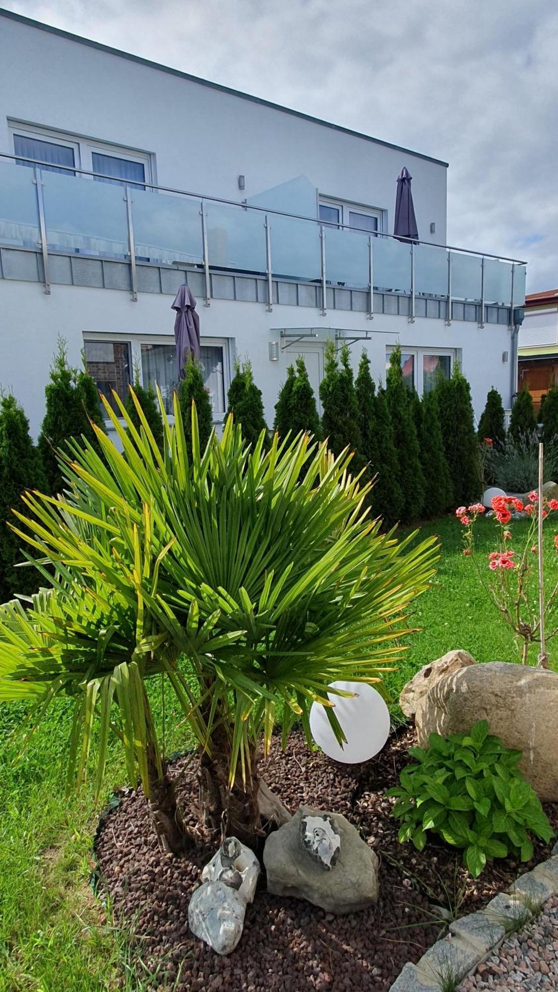 Ferienwohnungen "Godewind", Appartements Mit Balkon Oder Terrasse Zinnowitz Exteriör bild